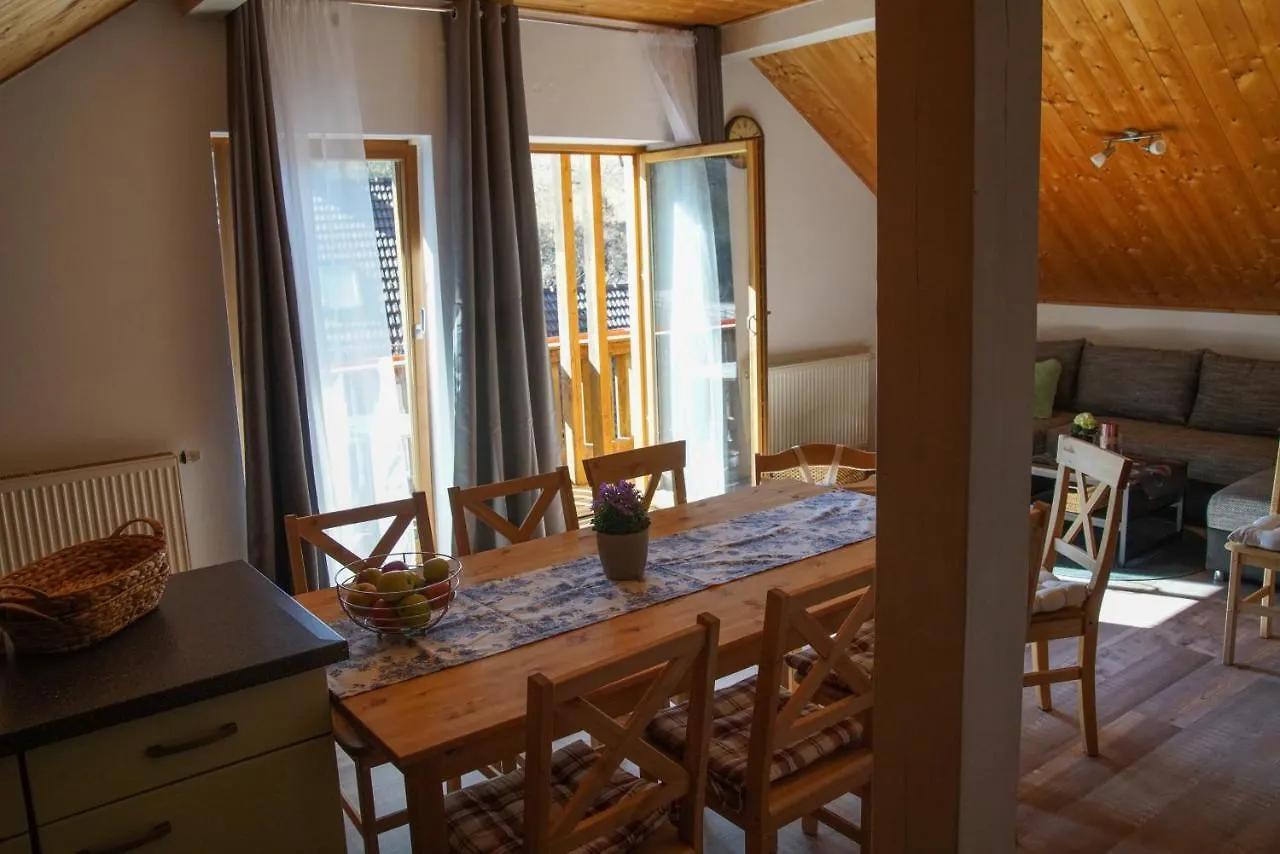 Ferienwohnung Andermann Neukirchen  Apartment